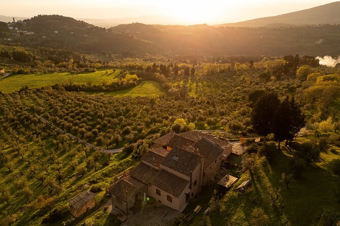 Yoga at Sunset Overlooking Tuscan Countryside - Booking Information