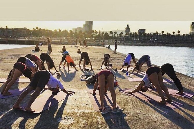 Yoga By The Sea Barcelona - What to Expect During the Yoga Session