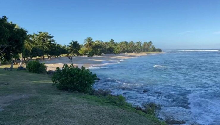 Yoga & Discovery Years - Yoga by the Sea