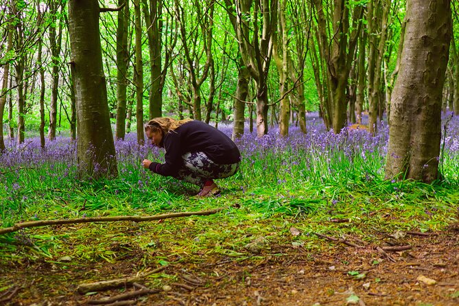 Yoga, Forest Bathing and Foraging Day Retreat Near Brighton - Retreat Overview