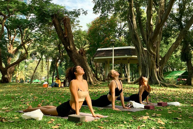 Yoga in the Park Thailand - Overview and Inclusions