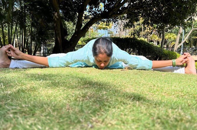 Yoga/Pranayama/Meditation Session with a Certified Guru in Mysore - Who Should Book This Experience?