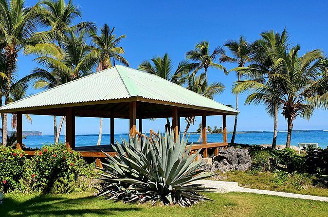 Yoga Session at Villa Serena, Las Galeras - Practical details: Booking, timing, and logistics