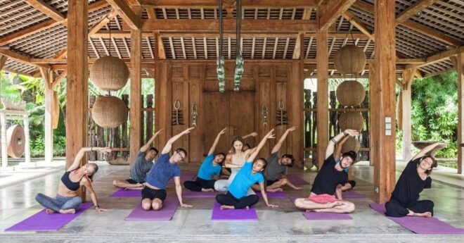 Yoga Session in Jaipur - Transportation and Logistics