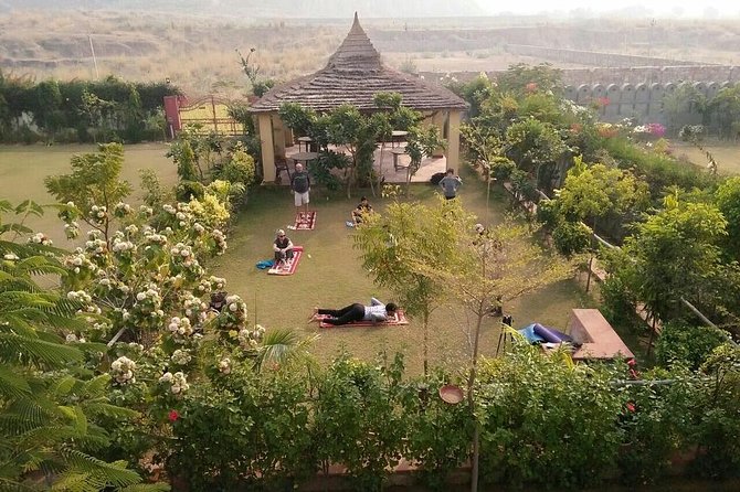 Yoga Tour in Jaipur - Tour Highlights