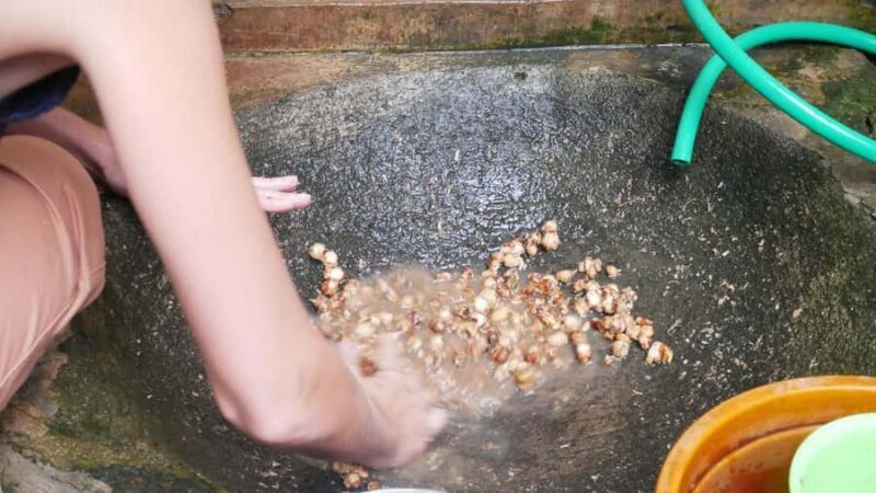 Yogakarta: Jamu Workshop with a Royal Healers Descendant - The Cultural and Historical Significance