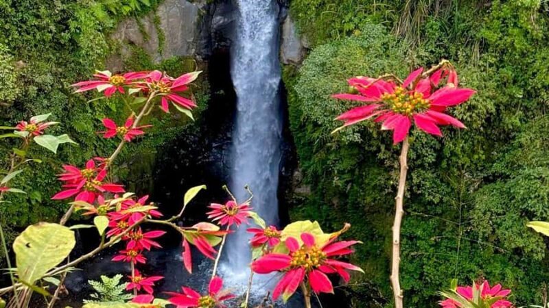 Yogyakarta 2-Day Adventure Tour - Day 2: Volcano and Waterfall Adventures