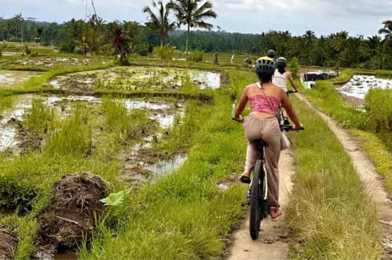 Yogyakarta: 3-Hour Bike Tour Through Villages with Transfers - The Practical Details: Timing, Group Size, and Value