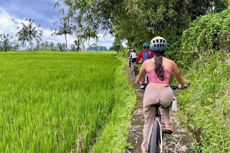 Yogyakarta: 3-Hour Bike Tour Through Villages with Transfers - Who Should Consider This Tour?