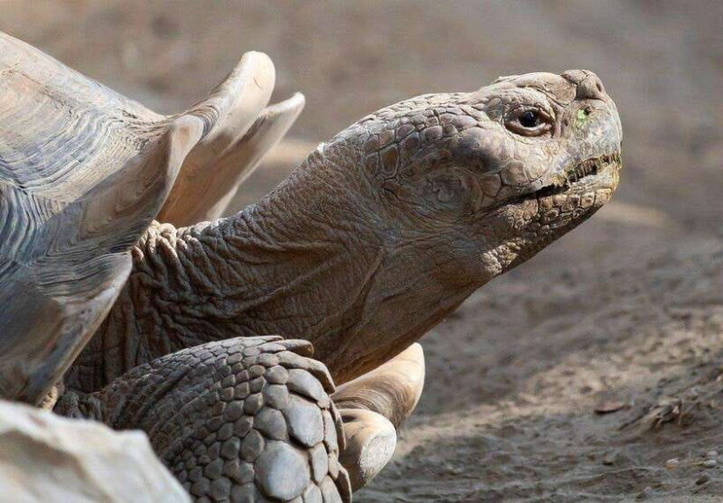 Yogyakarta : 4D3N Bromo, Kalibaru Plantation, Ijen, Bali - What to Pack and Practical Tips