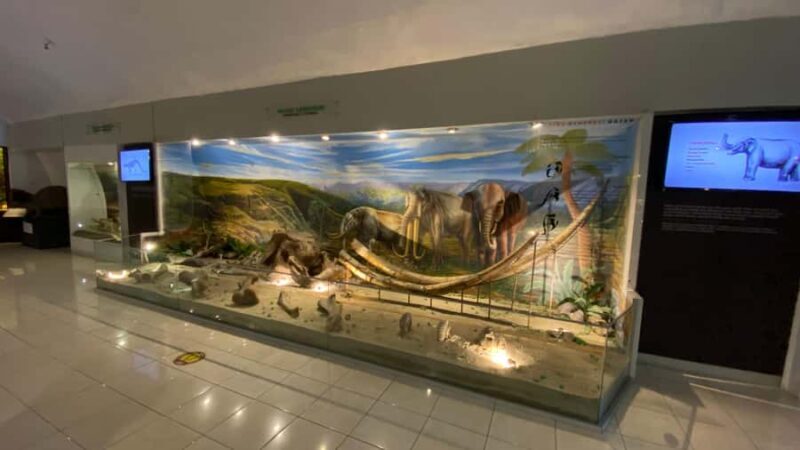 Yogyakarta: Ancient Human Museum & Exotic Sukuh Temple - Introduction to the Tour Experience