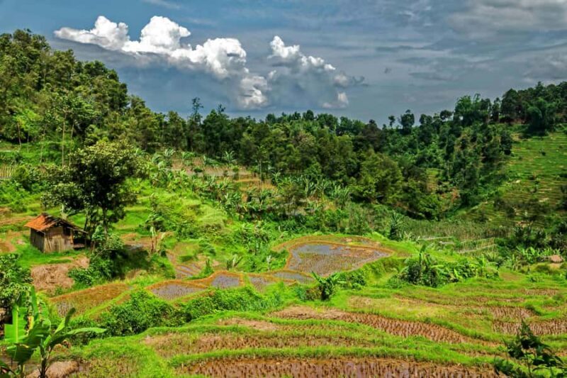 Yogyakarta: Borobudur Climb-Up Selogriyo Rice Field Trekking - Good To Know