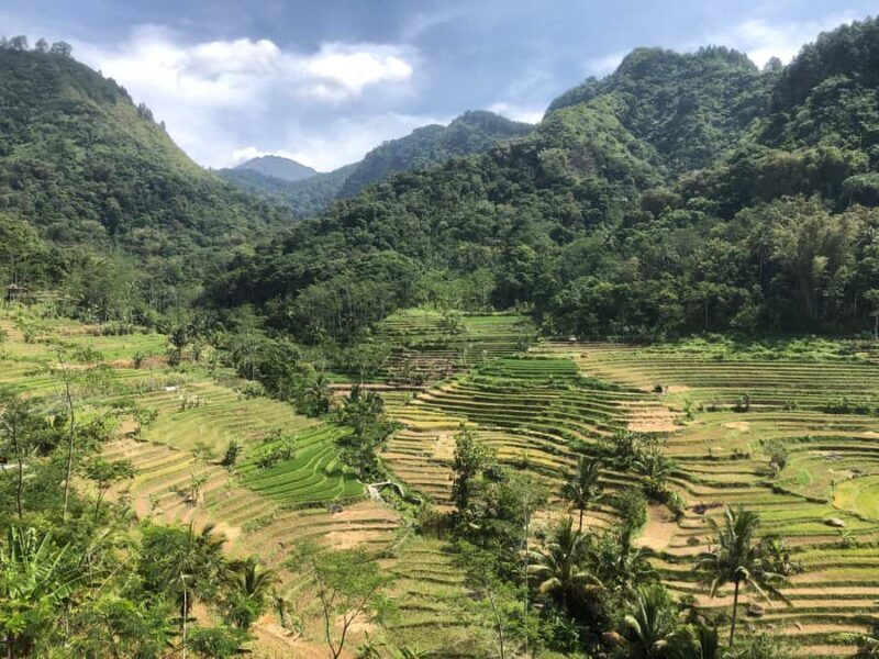 Yogyakarta: Borobudur Climb Up & Selogriyo Rice Terrace Tour - Yogyakarta: Borobudur Climb Up & Selogriyo Rice Terrace Tour – A Deep Dive into Java’s Hidden Gems