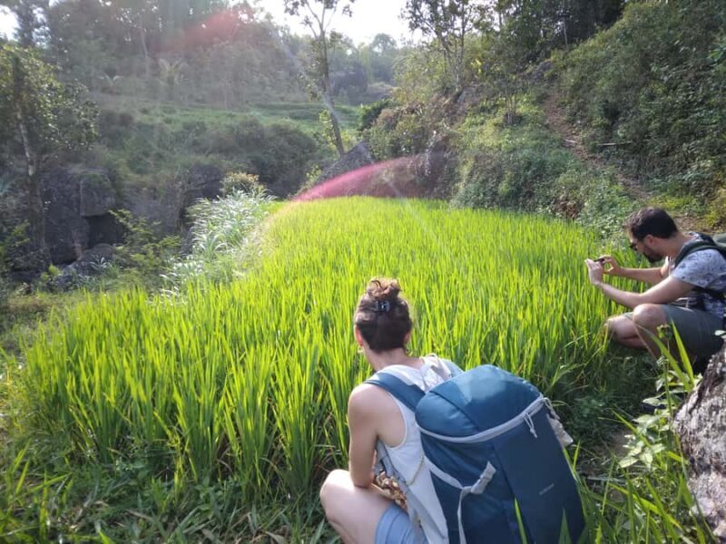 Yogyakarta: Borobudur Temple and Selogriyo Rice Terrace Tour - FAQ