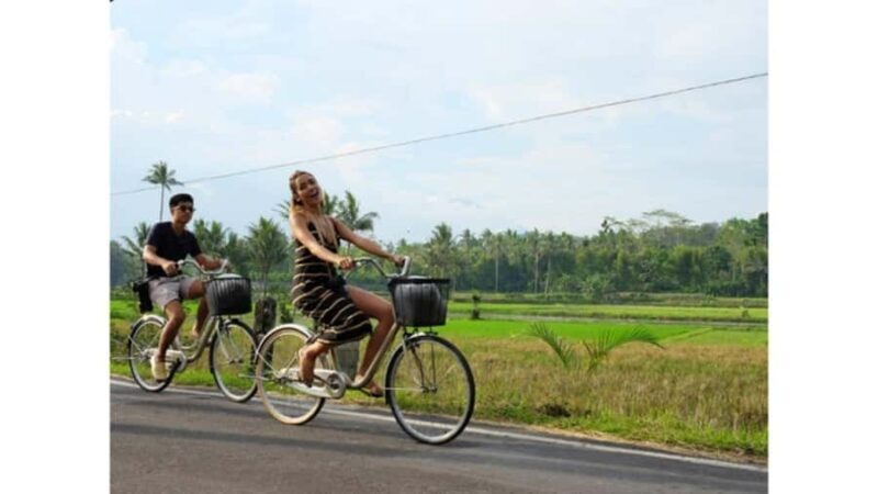 YOGYAKARTA; BOROBUDUR TEMPLE & CYCLING IN BOROBUDUR VILLAGE - Who Is This Tour Perfect For?