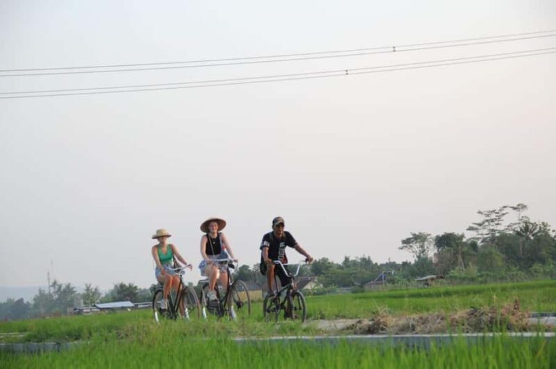 Yogyakarta: Classic Bike Tour with Lunch and Pickup - An In-Depth Look at the Experience