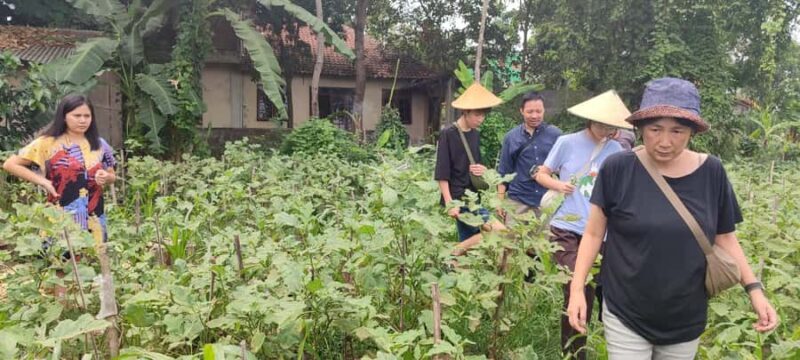 Yogyakarta: Cooking Class with Market Visit and Hotel Pickup - FAQ