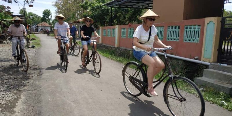 Yogyakarta: Countryside Village Cycling Tour With Guide - Final Thoughts