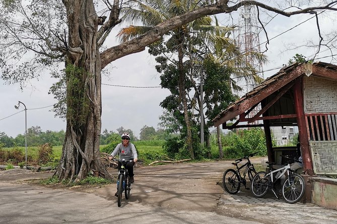 Yogyakarta Cycling Tour to Sambisari & Kedulan Temple - Sambisari Temple History