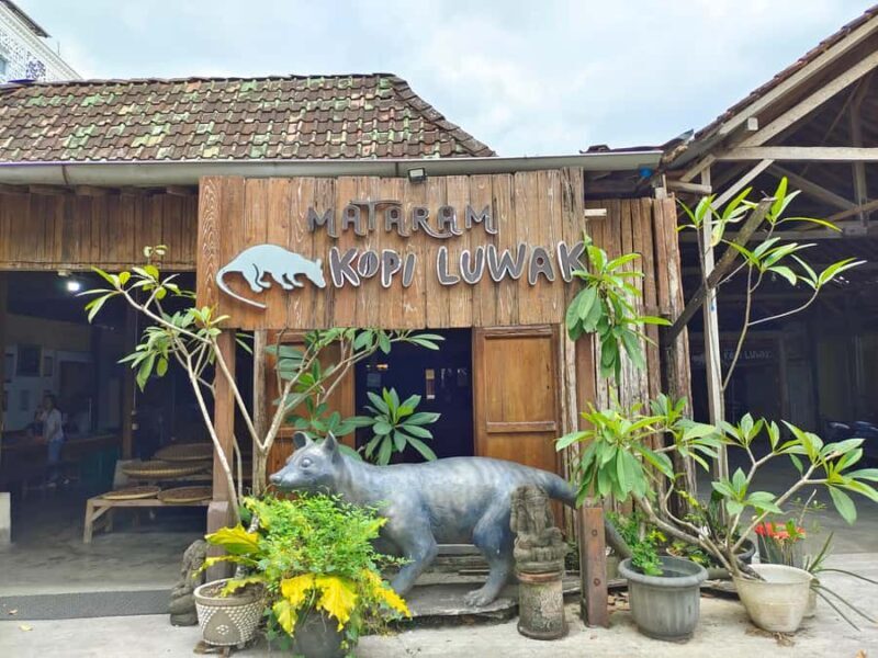 Yogyakarta Cycling tour with lunch - The Sum Up