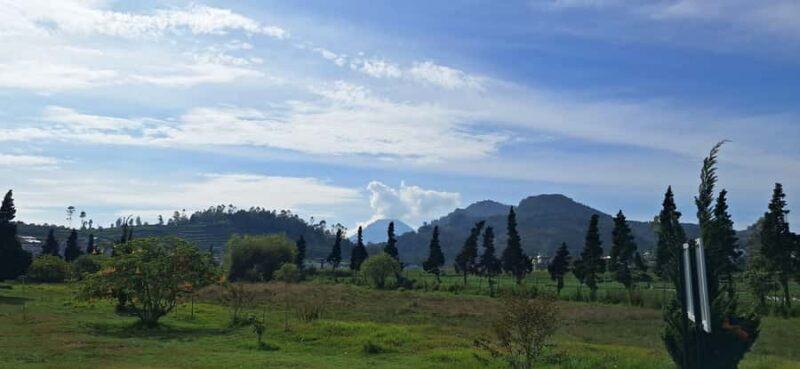 Yogyakarta : Dieng Plateau Tour (Natural Beauty of Java) - Overall Value