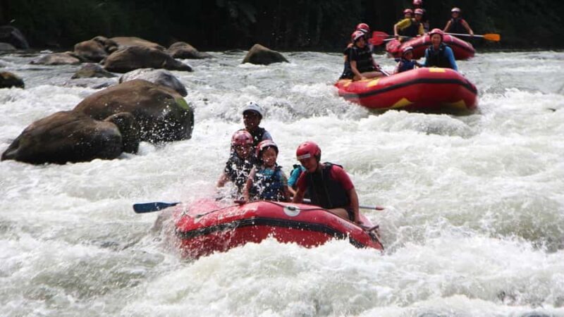 Yogyakarta: Elo White Water Rafting with 12KM Distance - Who Should Consider This Tour?