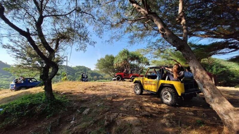 Yogyakarta: Explore Pindul Cave, Oyo River & Timang Beach - Good To Know