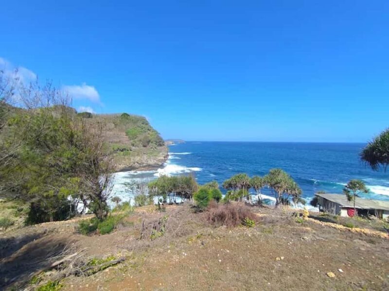 Yogyakarta: Explore Pindul Cave, Oyo River & Timang Beach - What Reviewers Say