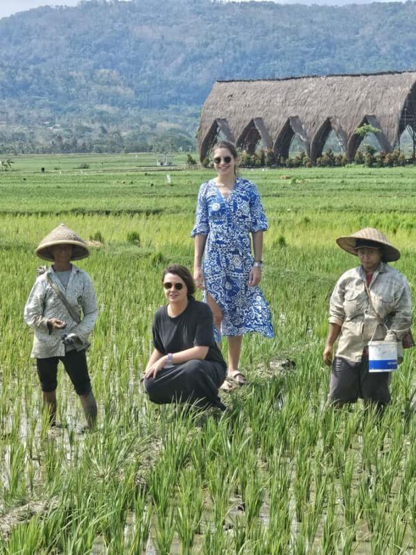Yogyakarta: Flying Fox, Pule Payung & Ricefield Scenic Tour - Who Will Love This Tour?