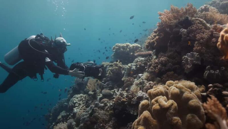 Yogyakarta: Goa Pindul, Nglambor Beach, & Sand Dunes Tour - Good To Know