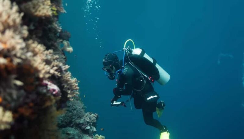 Yogyakarta: Goa Pindul, Nglambor Beach, & Sand Dunes Tour - Exploring Goa Pindul: The Underworld Adventure