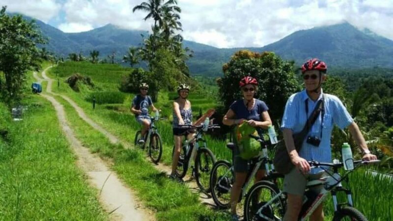Yogyakarta: Half-Day Guided Bike City Tour - Who Should Consider This Tour?