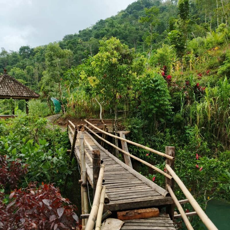 Yogyakarta: Hidden Paradise of Yogyakarta Waterfall & Swim - Good To Know