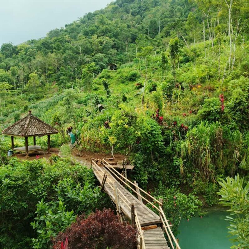 Yogyakarta: Hidden Paradise of Yogyakarta Waterfall & Swim - Authentic Experiences & Real Traveler Insights