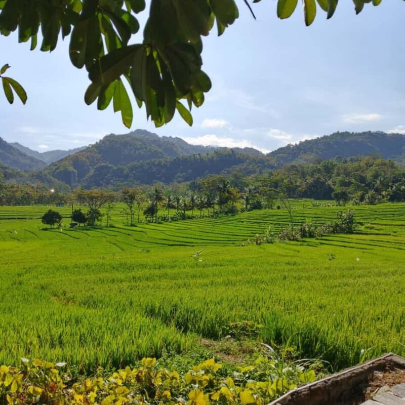 Yogyakarta: Hidden Paradise of Yogyakarta Waterfall & Swim - Final Thoughts: Who Is This Tour Best For?  