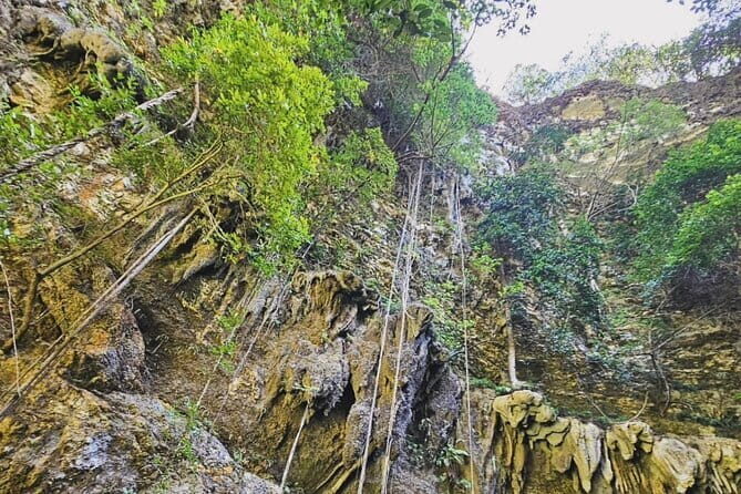 Yogyakarta Jomblang Cave and Pindul Cave Tour - Whats Included and Whats Extra?