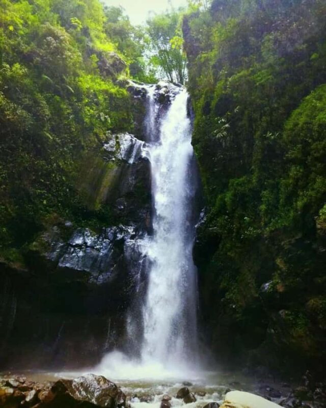 YOGYAKARTA; KEDUNG KAYANG WATERFALL AND SELOGRIYO TEMPLE. - The Overall Experience: Is It Worth It?