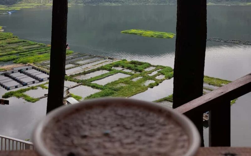 Yogyakarta: Menjer Lake Bamboo Boat Tour with Lunch - Introduction: An Authentic Nature Escape Near Yogyakarta