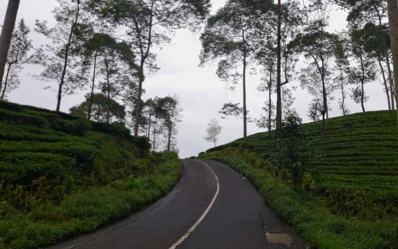Yogyakarta: Menjer Lake Bamboo Boat Tour with Lunch - Practical Details and What to Bring