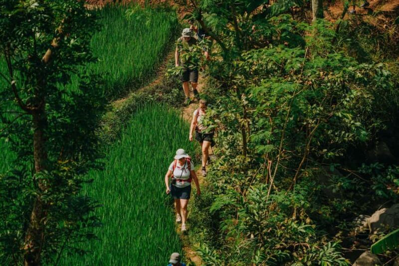 Yogyakarta: Merapi Sunrise Jeep and Trek with Lunch - Trekking Through the Heart of Rural Java