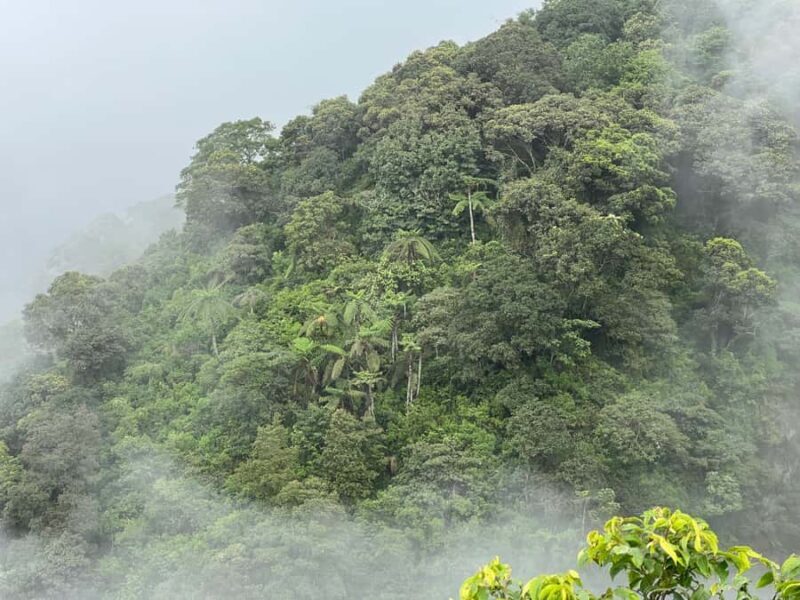 Yogyakarta: Merapi Volcano Trek with Transfer - Final Thoughts