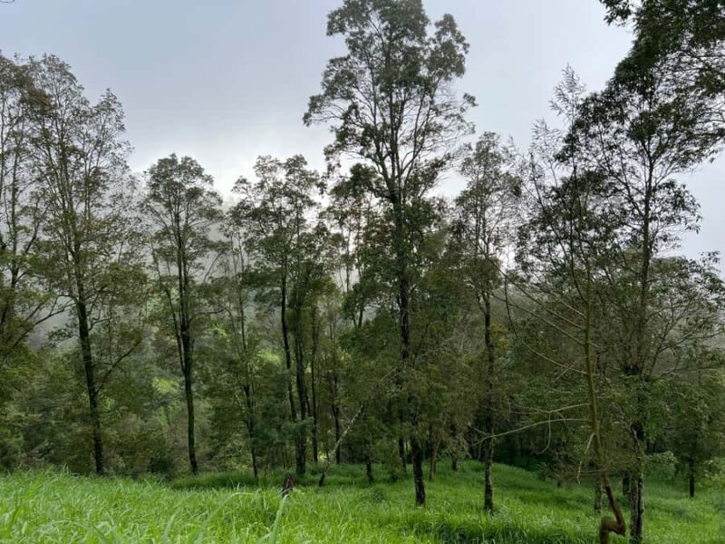 Yogyakarta: Merapi Volcano Trek with Transfer - FAQ