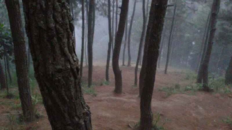 Yogyakarta: Mount Andong Sunrise or Daytime Hike Tour - The Sum Up