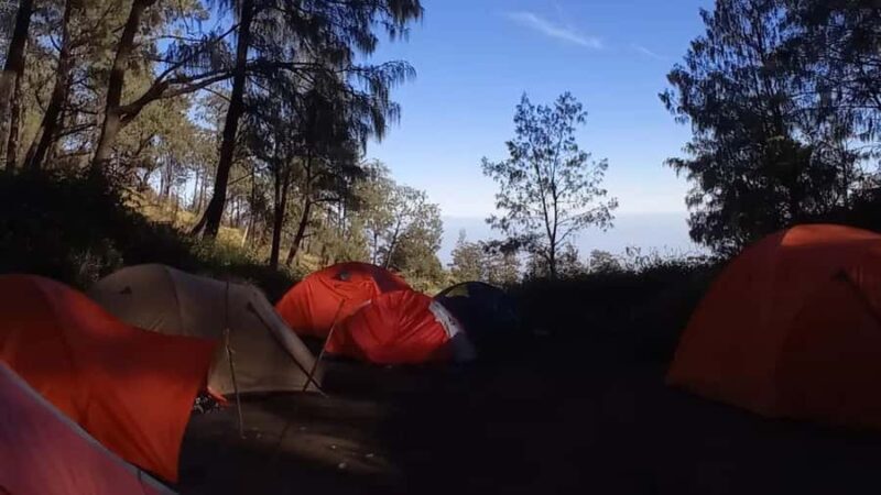 Yogyakarta: Mount Lawu 3-Day Trekking and Camping Tour - The Sum Up