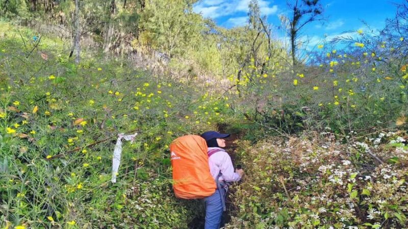 Yogyakarta: Mount Lawu 3-Day Trekking and Camping Tour - Good To Know