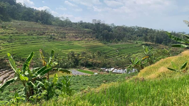 Yogyakarta: Mount Merapi Jeep and Selogriyo Temple Tour - FAQs