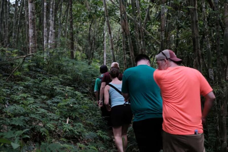 Yogyakarta : Mount Merapi Soft Trek and Botanic Village Tour - What’s Included and Practicalities