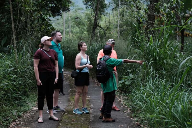 Yogyakarta : Mount Merapi Soft Trek and Botanic Village Tour - An Honest Look at the Yogyakarta Mount Merapi Experience