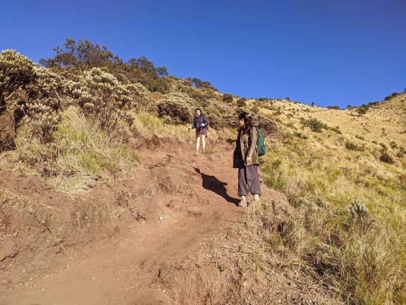 Yogyakarta: Mount Merbabu Shared Guided Tour All Inclusive - Deep Dive into the Itinerary