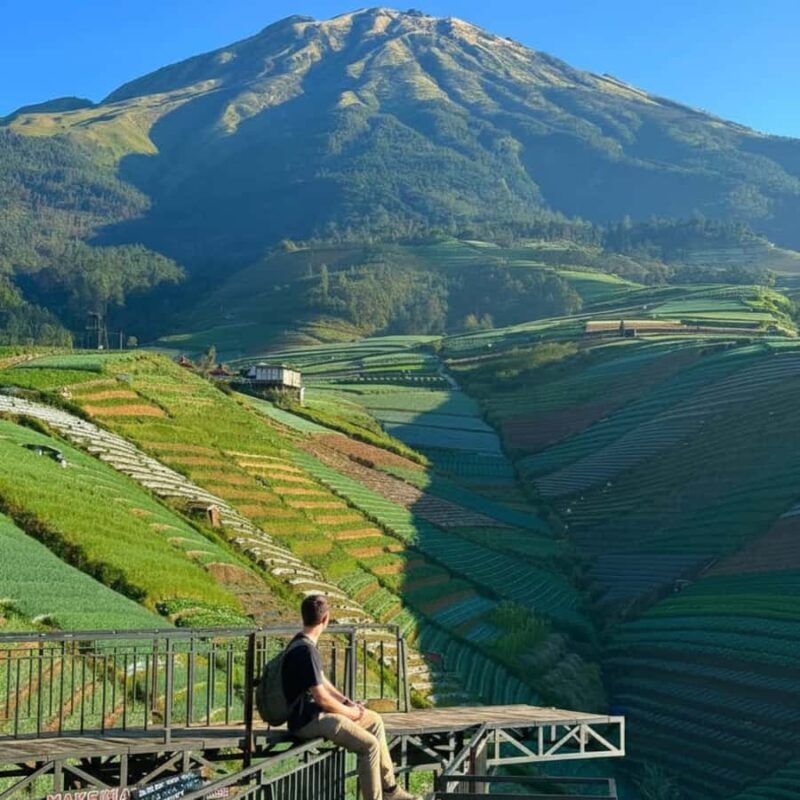 Yogyakarta: Nepal Van Java & Vegetable Village Tour - Starting the Day: Comfort and Convenience